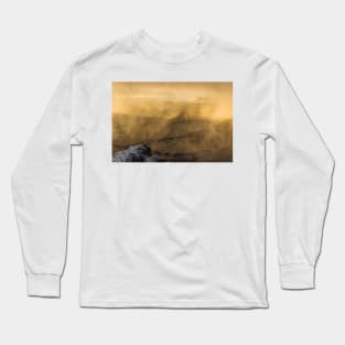 Condor In A Storm Long Sleeve T-Shirt